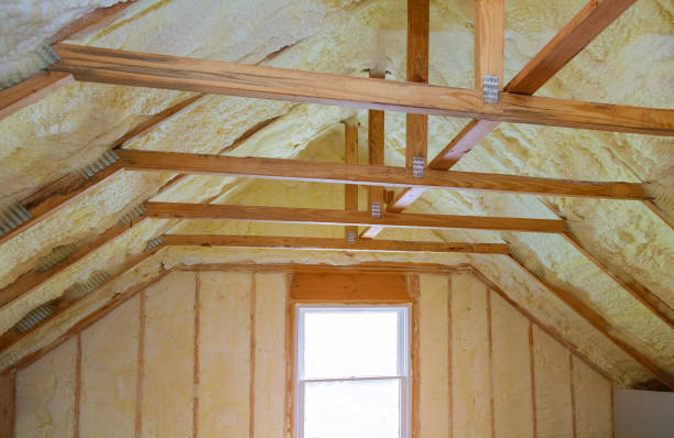 Best Cellulose Insulation in Bellville, TX