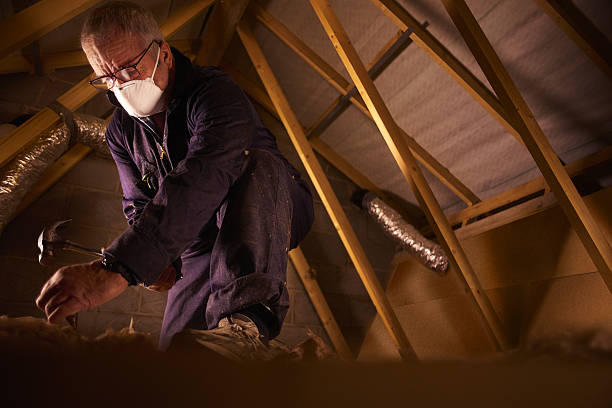 Types of Insulation We Offer in Bellville, TX