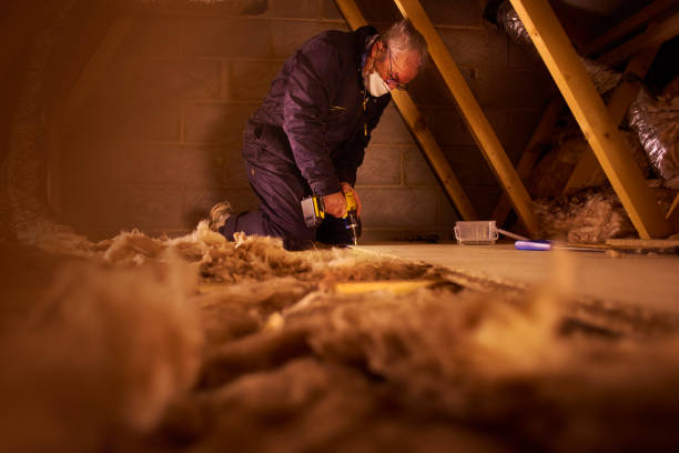 Best Geographic-Specific Insulation Services in Bellville, TX